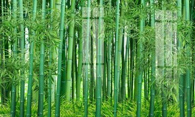 File gốc in mica File gốc in tranh tổng hợp K22530 chất lượng