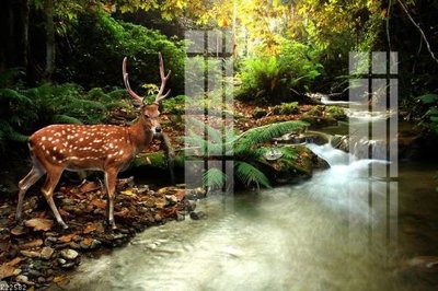 File PSD File gốc in tranh tổng hợp K22582 (bản gốc) độ phân giải cao