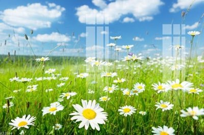 File gốc File gốc in tranh tổng hợp K22584 (cho in ấn) từ kho Filetranh