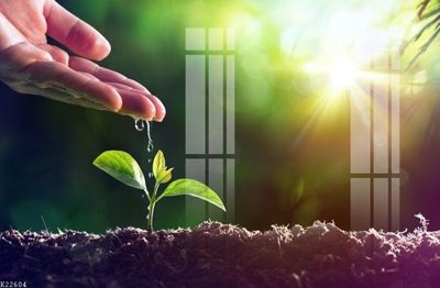 File gốc File gốc in tranh tổng hợp K22604 (AI/EPS) cho in ấn