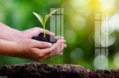 File tranh File gốc in tranh tổng hợp K22628 (file gốc) chuẩn màu in