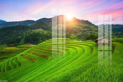 File in trần File gốc in tranh tổng hợp K22655 (bản gốc) trời sao