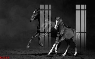 File in trần File gốc in tranh tổng hợp K2269 (bản gốc) hoa văn