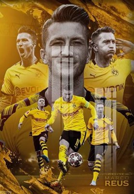 File tranh File gốc in tranh tổng hợp K22778 (gốc) chủ đề động vật