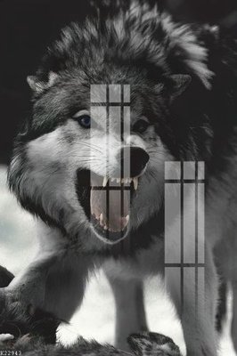 File ảnh File gốc in tranh tổng hợp K22943 (gốc) in backdrop sự kiện