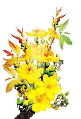 File gốc File gốc in tranh tổng hợp K22949 (PNG) nền trong suốt