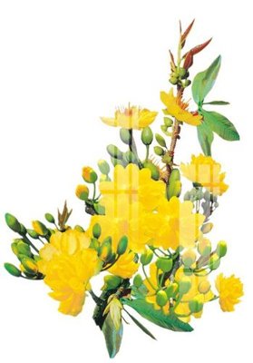 File in ấn File gốc in tranh tổng hợp K22950 chuyên nghiệp