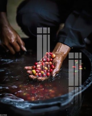 File in trần File gốc in tranh tổng hợp K22980 (file gốc) chủ đề vũ trụ