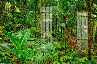 Tải file File gốc in tranh tổng hợp K23297 (gốc) in trên mọi chất liệu