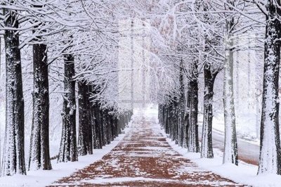 File in lụa File gốc in tranh tổng hợp K23365 (chất lượng cao) File gốc in tranh tổng hợp K23365