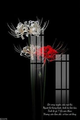 Tải file gốc File gốc in tranh tổng hợp K23375 (in khổ lớn) không vỡ