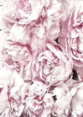 Tải file File gốc in tranh tổng hợp K23403 (ảnh gốc) độ phân giải 300dpi