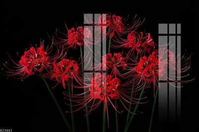 File gốc File gốc in tranh tổng hợp K23443 (ảnh rõ nét) để in