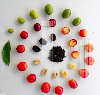 File ảnh gốc File gốc in tranh tổng hợp K23453 (chuyên in mica)