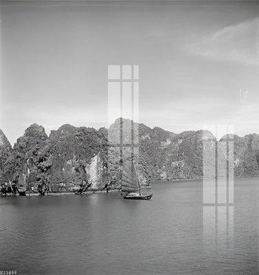 File in mica File gốc in tranh tổng hợp K23499 (bản gốc) làm vách ngăn