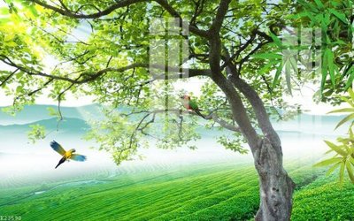 File gốc File gốc in tranh tổng hợp K23590 (ảnh chi tiết) để in ấn