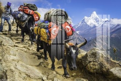 Mua file gốc File gốc in tranh tổng hợp K23604 (in ấn) tại Filetranh.com