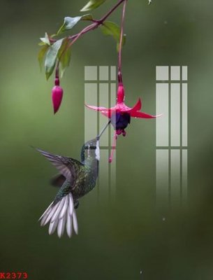 Tải file File gốc in tranh tổng hợp K2373 (gốc) chủ đề tâm linh