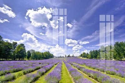 Tải file File gốc in tranh tổng hợp K23911 (gốc) làm file quảng cáo