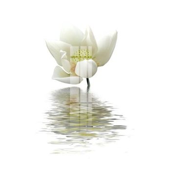 Tải file gốc File gốc in tranh tổng hợp K23960 (bản PSD) chỉnh sửa được