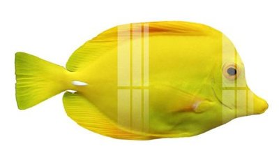 File gốc File gốc in tranh tổng hợp K24146 (cho in ấn) từ kho Filetranh