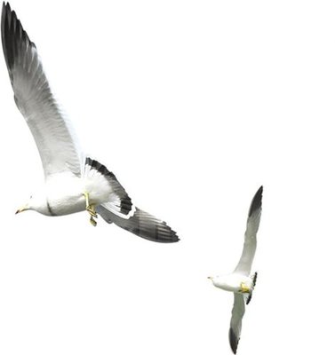 File tranh gốc File gốc in tranh tổng hợp K24149 (bản đẹp) độc quyền