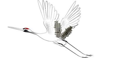 Tải file tranh File gốc in tranh tổng hợp K24160 (ảnh gốc) ngay