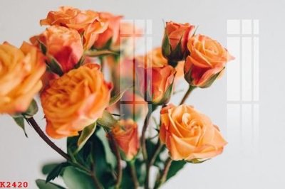 File ảnh File gốc in tranh tổng hợp K2420 (gốc) in Hiflex