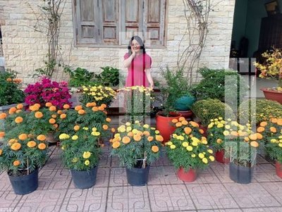 File ảnh File gốc in tranh tổng hợp K24426 (gốc) in backdrop sự kiện