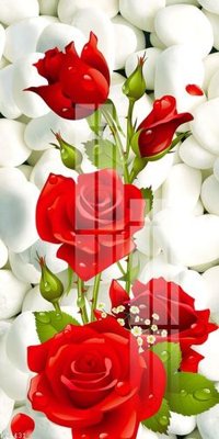 File tranh in mica File gốc in tranh tổng hợp K24431 (độ phân giải cao)