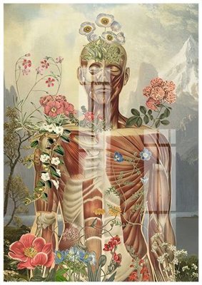 Tải file File gốc in tranh tổng hợp K24537 (gốc) làm file tranh quảng cáo