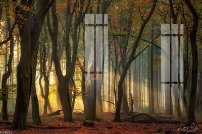 File tranh File gốc in tranh tổng hợp K24602 (ảnh gốc) in trần nhà