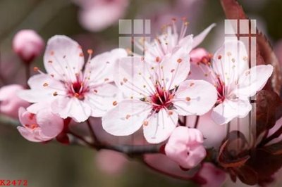 Download file tranh PSD File gốc in tranh tổng hợp K2472 để chỉnh sửa