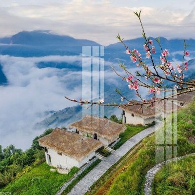 Tải file File gốc in tranh tổng hợp K24736 (gốc) chủ đề hoa sen