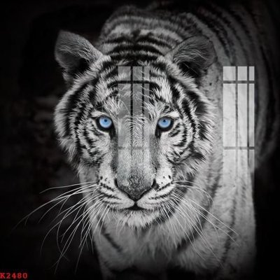 Mua file gốc File gốc in tranh tổng hợp K2480 (PSD) tại Filetranh.com