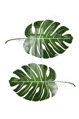 File in mica File gốc in tranh tổng hợp K25096 (bản gốc) sắc sảo