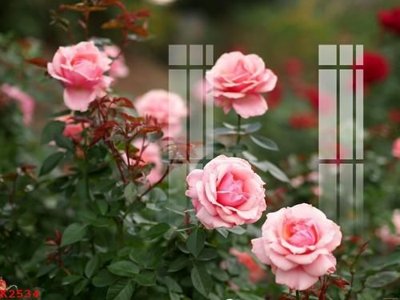 File in ấn File gốc in tranh tổng hợp K2534 (bản gốc) cao cấp