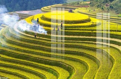 File in lụa File gốc in tranh tổng hợp K25549 (phong cảnh) File gốc in tranh tổng hợp K25549