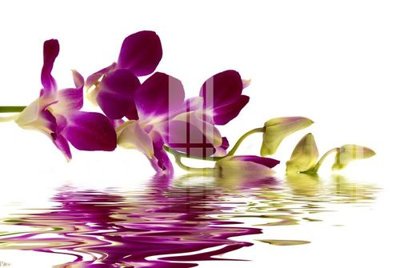 Tải file gốc File gốc in tranh tổng hợp K25555 (in bạt) quảng cáo