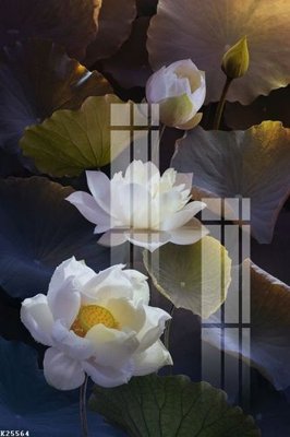 Ảnh gốc File gốc in tranh tổng hợp K25564 (siêu chi tiết) để in ấn