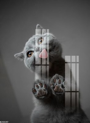 Tệp tin gốc File gốc in tranh tổng hợp K25597 (chất lượng cao) File gốc in tranh tổng hợp K25597