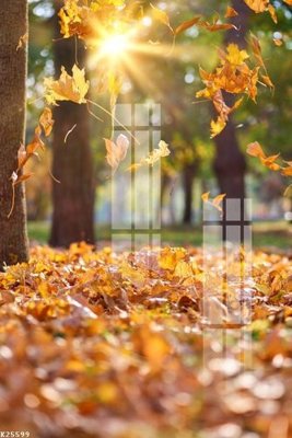 File in lụa File gốc in tranh tổng hợp K25599 (chất lượng cao) File gốc in tranh tổng hợp K25599