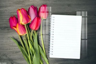 File tranh File gốc in tranh tổng hợp K25602 (gốc) phong cách tối giản