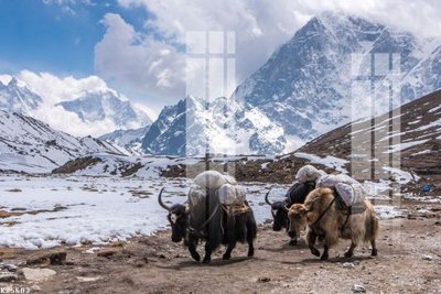 File tranh File gốc in tranh tổng hợp K25603 (file gốc) chủ đề phong thủy