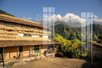 File ảnh File gốc in tranh tổng hợp K25620 (gốc) in backdrop sự kiện