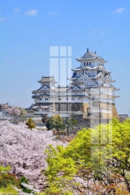 Tải file File gốc in tranh tổng hợp K25647 (gốc) in ấn ngay lập tức