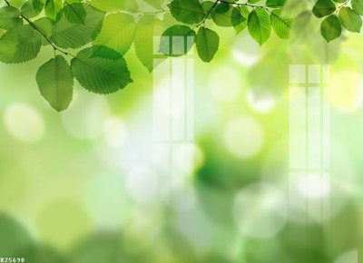 File in trần File gốc in tranh tổng hợp K25698 (bản gốc) mây trời