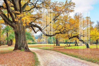 File tranh gốc File gốc in tranh tổng hợp K25733 (sắc nét từng chi tiết)