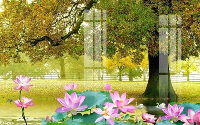 File in trần File gốc in tranh tổng hợp K25747 (file gốc) chủ đề vũ trụ