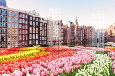 Download file File gốc in tranh tổng hợp K25750 (chuẩn in) chất lượng cao